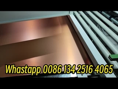 Ab Máquina de colocação de cola para painel de honeycomb satisfazendo os requisitos do cliente